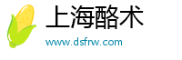 上海酪术