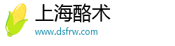 上海酪术